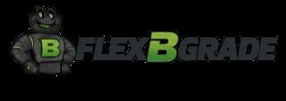 FlexBgrade logo featuring a cartoon character flexing muscles with the text FlexBgrade